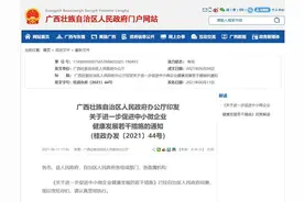 多重利好！广西出台12项措施要给中小微企业发钱了图片