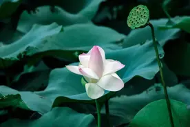 今日端午，上大与你一起迎接盛夏的到来图片