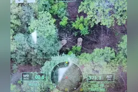 北迁亚洲象沿途造成的群众经济财产损失谁来赔偿？权威答复来了图片