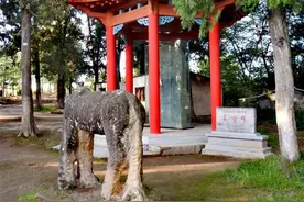 寻宋︱徽县吴玠碑：一进却之间胜负决矣图片