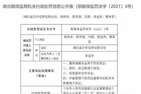 涉4项违法违规行为，湖北省农村信用社被罚115万元图片