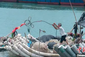 探访广东揭阳神泉港：揭秘讨海人的生活图片