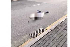 痛心！一男子跑步时猝死，这些症状要高度警惕图片