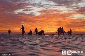 抱着手机看“赶海”，我们的征途是虾兵蟹将图片