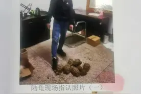 长沙一水族馆老板把家变“野生动物园”被举报，民警看到后惊呆了图片