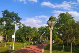 沾益勾画城市发展新蓝图图片