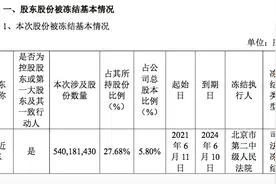 苏宁易购盘中触及跌停：苏宁电器被动减持，张近东股份被冻结图片