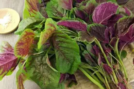 夏天多吃这些蔬菜，清热去火，含钙量比牛奶还高图片