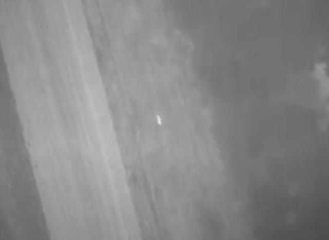 热成像无人机管大用！比利时志愿者从割草机前救出上百头藏着的小鹿