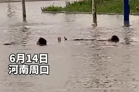 暴雨过后熊孩子躺水中泡澡，网友：只要心中有海，哪里都是马尔代夫图片