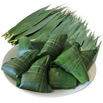 能包粽子的树叶，你认识几种？