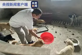 四川绵阳：一村民家发现56只来历不明犬只，多部门介入调查图片