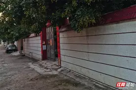 乡下建房子来了位“不速之客”，吓得我全身冰凉图片