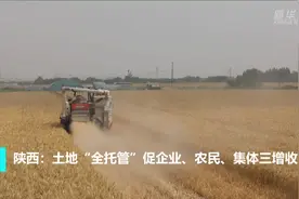 陕西：土地“全托管”促企业、农民、集体三增收视频封面