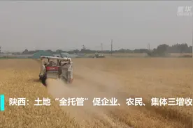 陕西：土地“全托管”促企业、农民、集体三增收视频封面