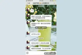 猫妈妈3天守着柱子不离开！杭城小奶猫被困，今早小区这幕刷屏图片