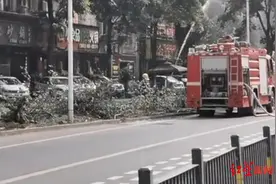 道路施工挖断天然气管道 四川宜宾“智轨”列车停运图片