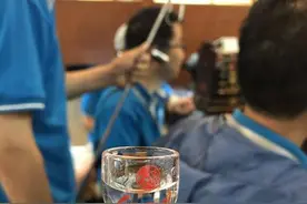 酒香三千载：探访国家级“非遗”西凤酒图片