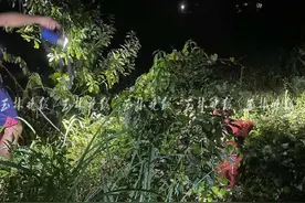 阿婆上山摘荔枝未归，70余人彻夜搜寻！她却说“我在家睡觉”图片