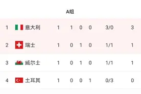 欧洲杯小组赛第一轮战罢，来看一下各组积分形势图片