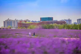 上海奉贤：奋力追梦，创造“变不可能为可能”的传奇图片