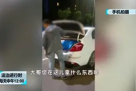 小偷打开轿车后备箱行窃，车主在身后举手机淡定拍摄图片