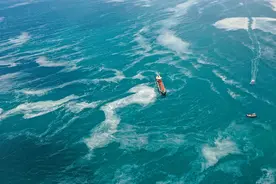 土耳其海岸“海鼻涕”泛滥成灾图片