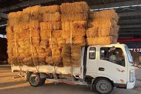 鸭河生物质电厂：秸秆发电妙处多图片