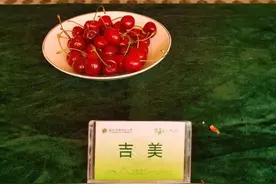 “西北不愁吃喝大学”又来了！这次是万余斤水果图片