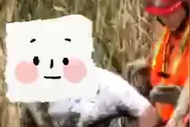 丈母娘采粽叶迷路，女婿外出寻找反被困芦苇荡视频封面