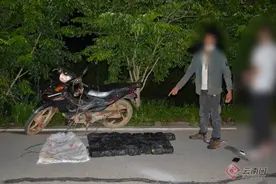 “观音王”里藏冰毒 云南打洛边检站一案缴毒35.69公斤图片