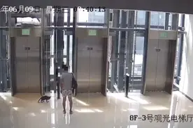 杭城男子从宠物店抱走价值3万的猫，接着还玩起“躲猫猫”……图片