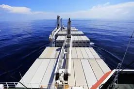 “集改散”一单番茄酱货运显现全球集运市场新机遇图片