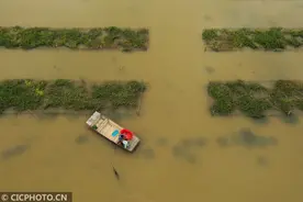 江苏淮安：小蟹苗拓宽致富路图片