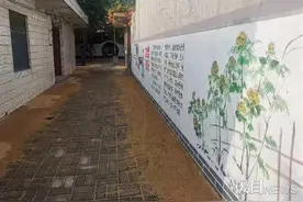 山东临沂有个“学霸村”，出了16名博士和20名硕士图片