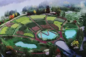宜宾五粮液变废为宝 万吨废水“浇”出环保生态湿地图片