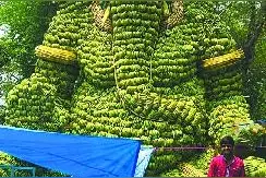 印度人认为“香蕉与神灵有关”图片