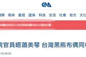 台媒又炒作台湾黑熊布偶成“美台友好”象征，岛内网友讽刺：“悲哀”图片