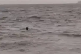 海水退潮时游泳被浪卷走，厦门一小伙不幸遇难图片