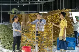 全面从严治党责任制度的回顾与思考图片