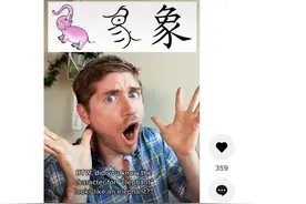 云南大象火到海外，百万外国网友在线追象图片