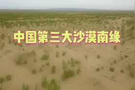 新华全媒+丨中国第三大沙漠南缘“沙城”变“水乡”视频封面