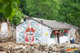 高清组图 |“猫村”等你来图片