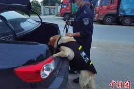 中缅边境章凤口岸：民警与警犬同守国门“第一道防线”图片
