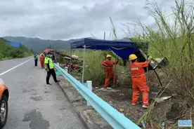 高速公路摆摊卖蜂糖李？这样赚钱太危险图片