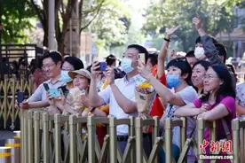 高考志愿填报有技巧！听校长老师来支招图片