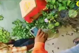 印度21天大女婴被装进木盒放在恒河上漂流 将其救起的船夫被奖励房子图片