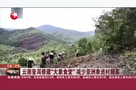 云南普洱修建“大象食堂”  减少亚洲象进村频率视频封面