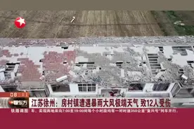 江苏徐州：房村镇遭遇暴雨大风极端天气  致12人受伤