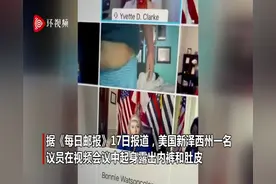 美国一议员开视频会议时露出内裤和肚皮 被同事尴尬发现图片